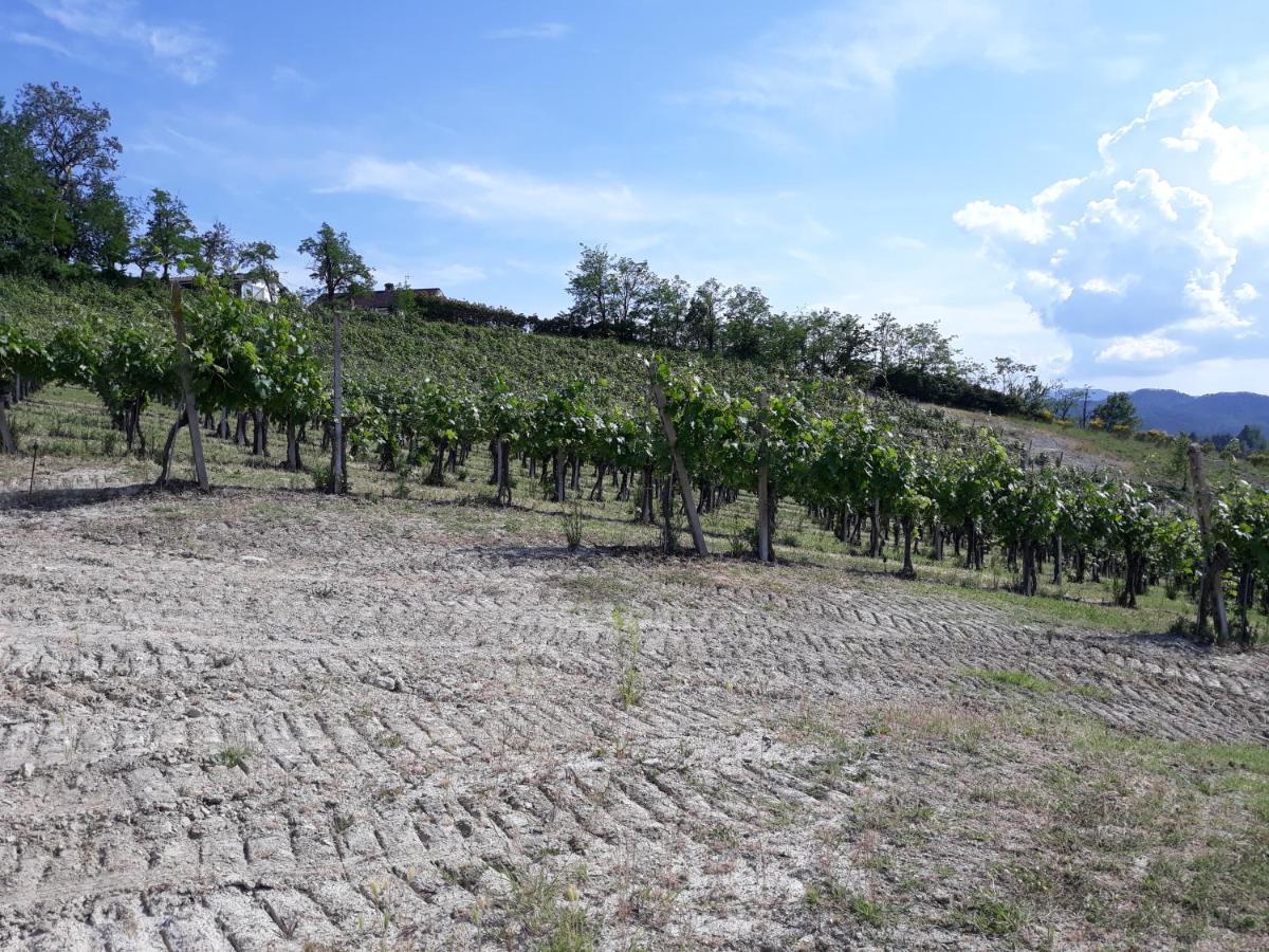 Agriturismo Il Biancospino Bed & Wine Daire Lerma Dış mekan fotoğraf