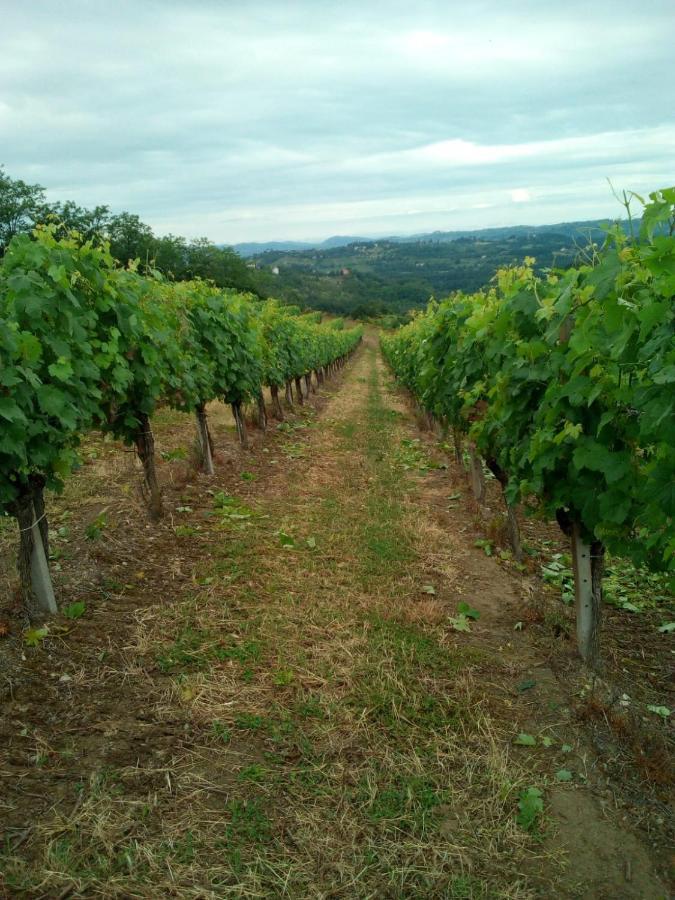 Agriturismo Il Biancospino Bed & Wine Daire Lerma Dış mekan fotoğraf